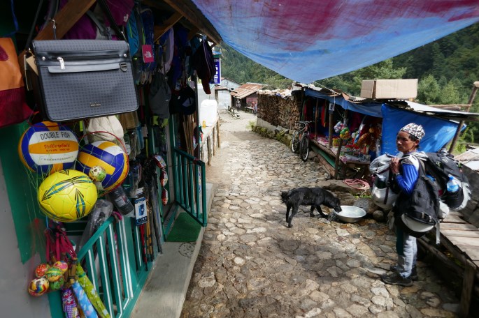 rl_p1010395-oct-6-2016-9-13-am-3888x2592