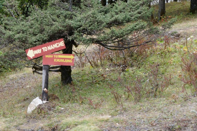 rl_p1010395-oct-7-2016-10-054