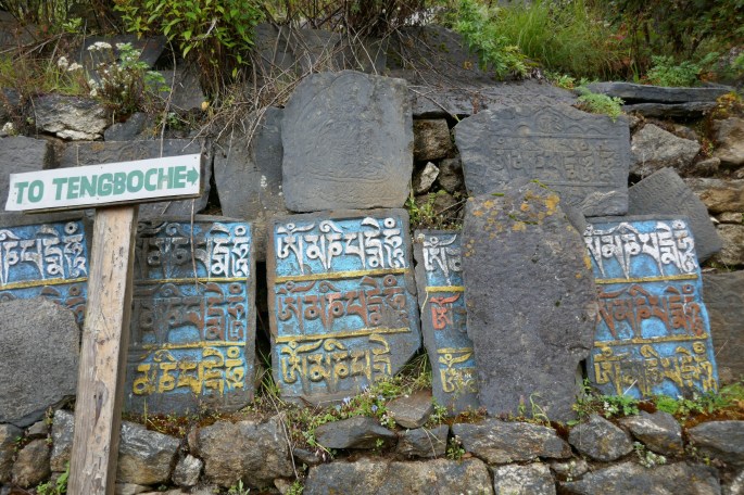 rl_p1010395-oct-7-2016-7-039