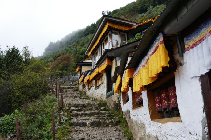 rl_p1010395-oct-7-2016-7-35-am-3888x2592