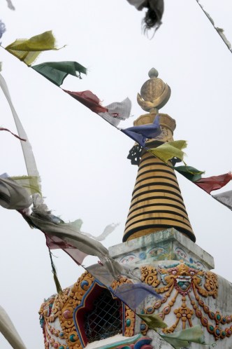 rl_p1010395-oct-8-2016-8-044