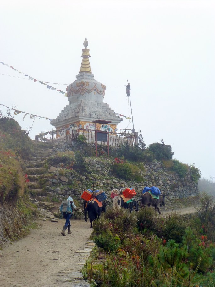 stupa2