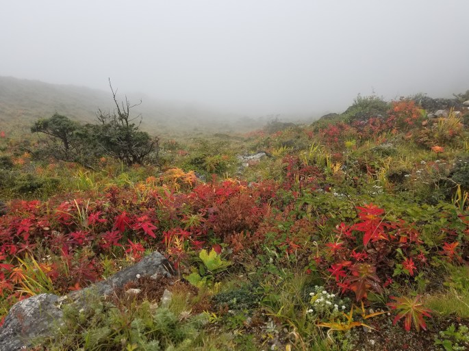 vm_001-20161004_135542-oct-7-2016-10-14-am-4032x3024